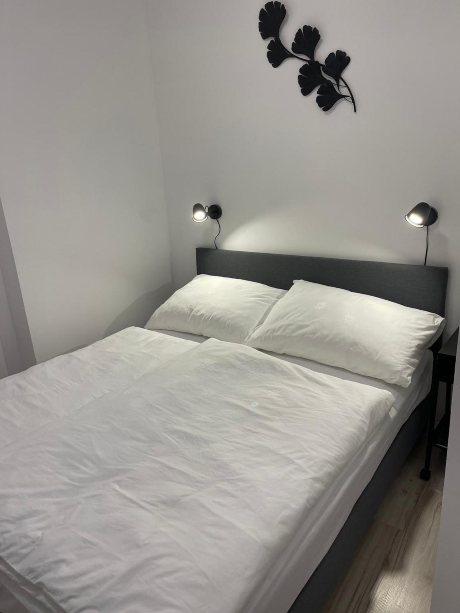 יאנסקה לזנה Apartmanovy Dum Jansky Sen מראה חיצוני תמונה
